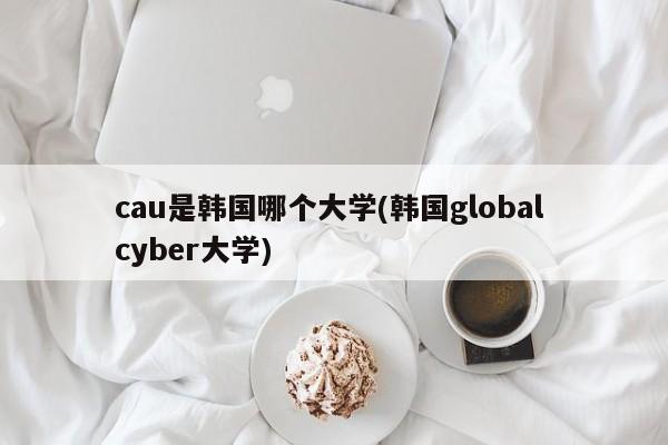 cau是韩国哪个大学(韩国global cyber大学)